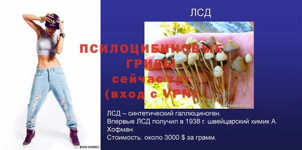 гидра Балабаново
